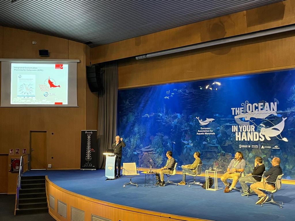 Dr. Lorenzo von Fersen auf der EAAM Tagung in Valencia