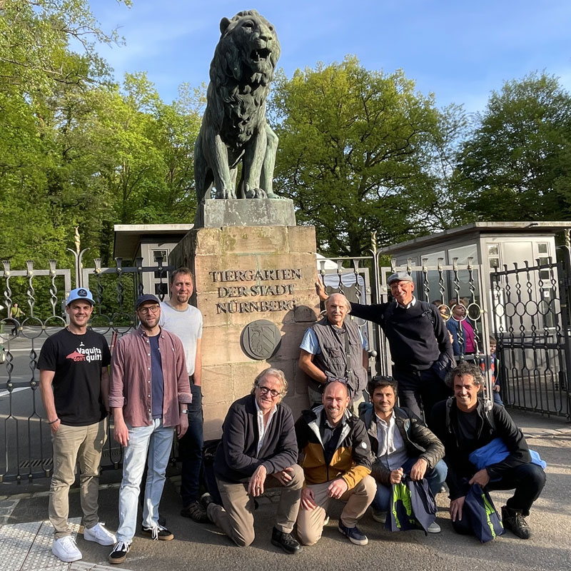 Beifang Treffen Delfine Tiergarten Nürnberg