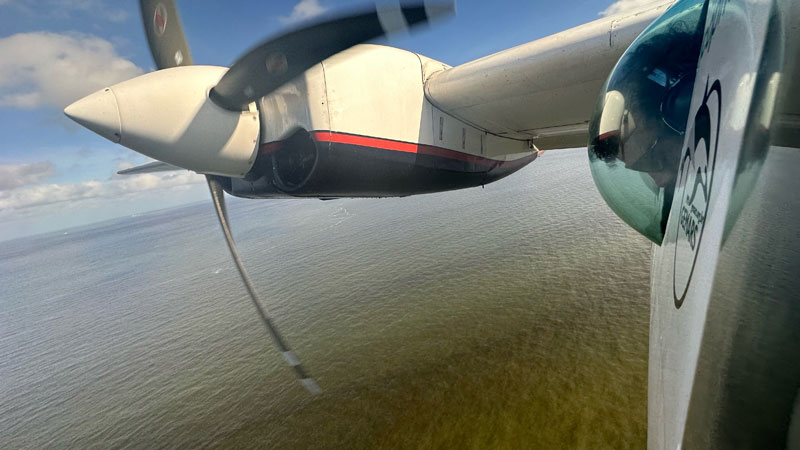 Flugzählung Franciscana La Plata Delfin Toninha Uruguay 2023