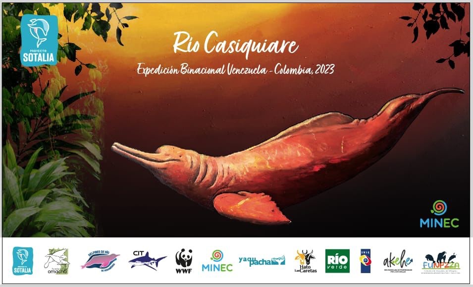 Inias Río Casiquiare Venezuela delfine inia geoffrensis expedition