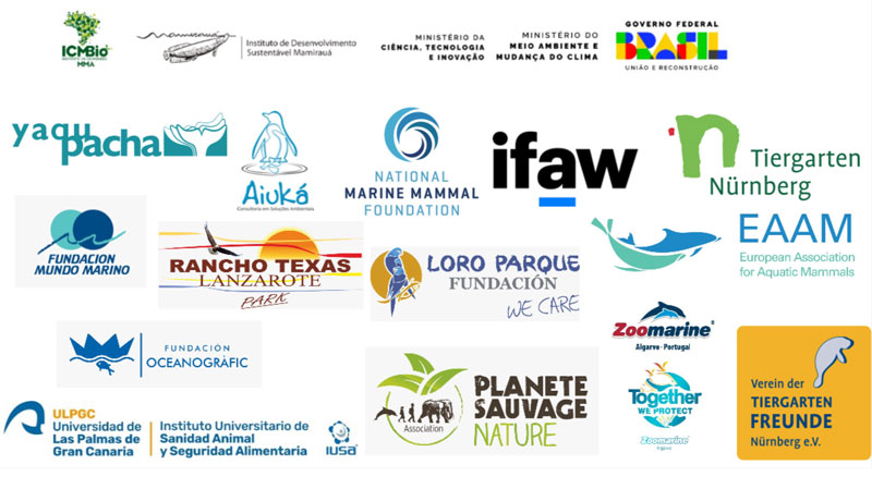 Partner Rettung Flussdelfine Lago Tefé Brasilien Amazonas Delfin Sotalia