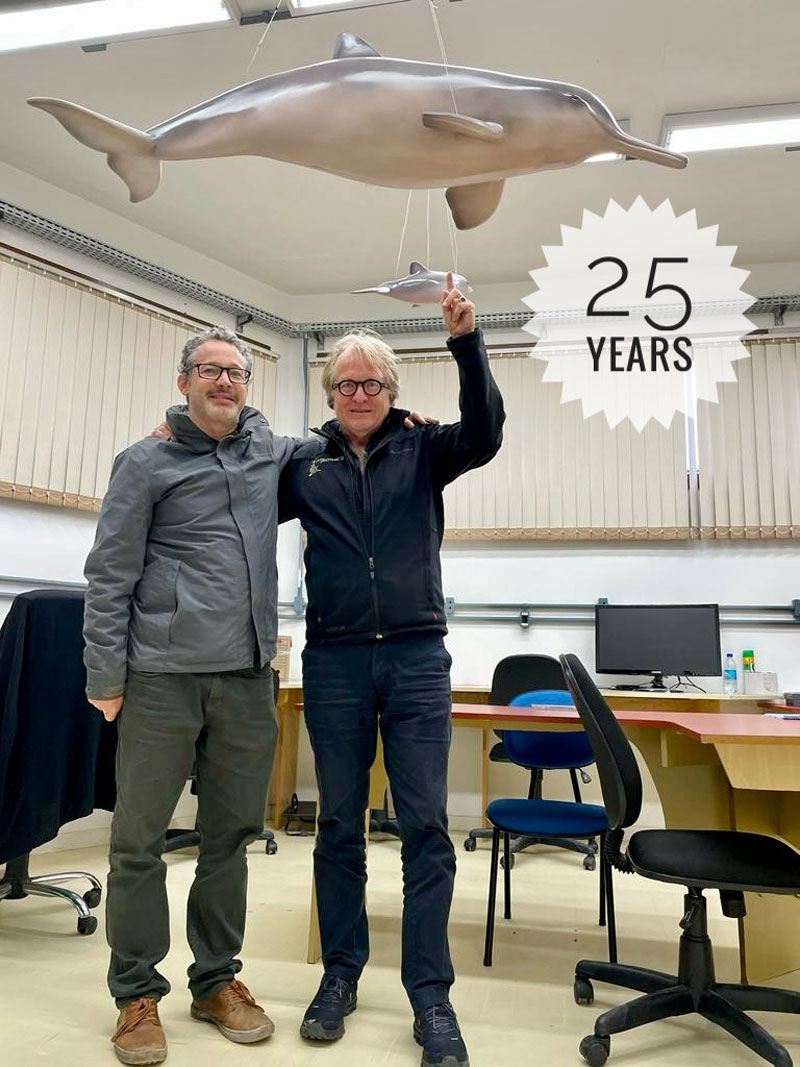 25 jahre years franciscana forschung research toninha brasil eduardo secchi la plata delfin 
