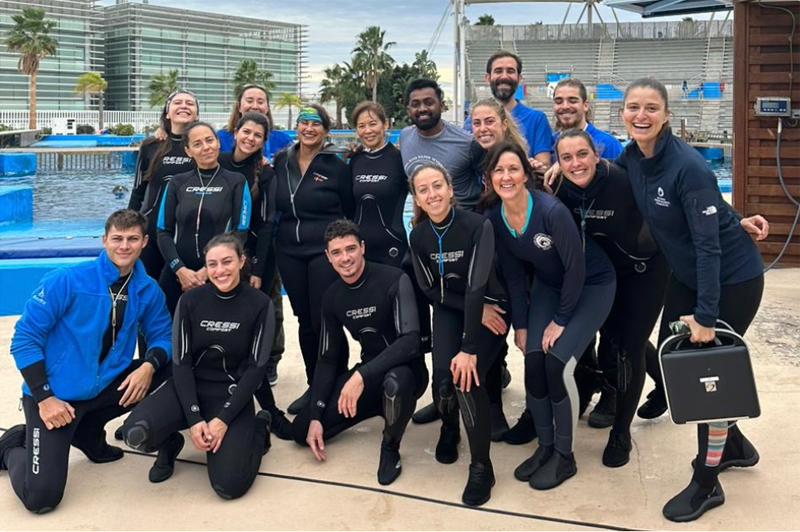 workshop flussdelfine valencia spanien