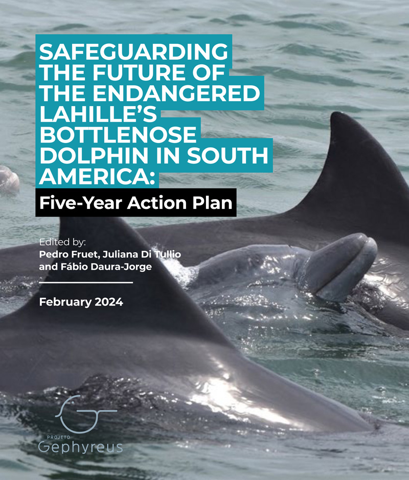 lahille's bottlenose dolphin action plan lahille großer tümmler tursiops gephyreus