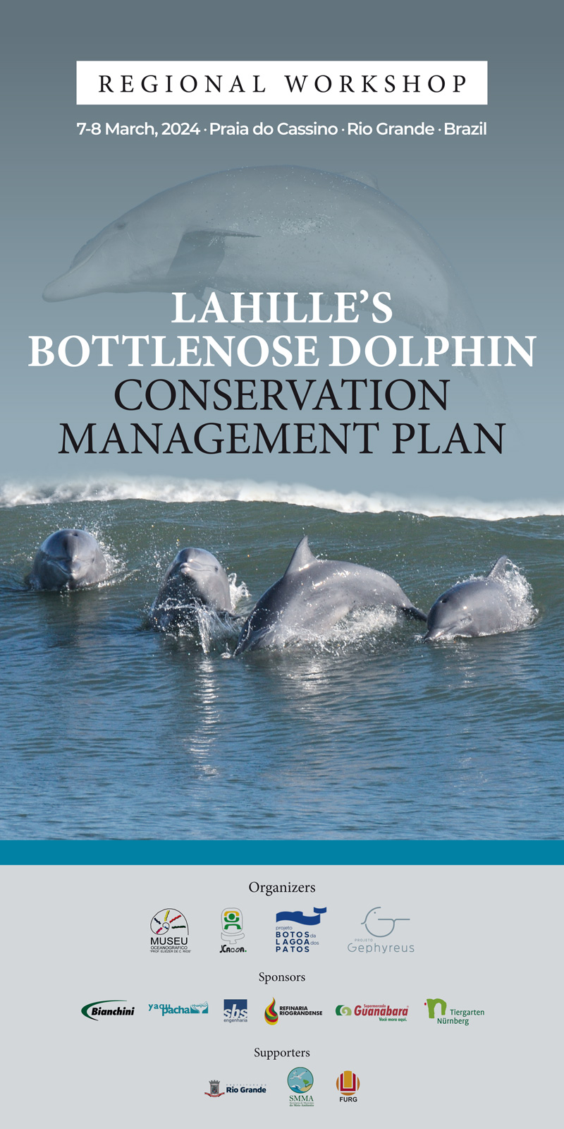 lahille delfin workshop brasilien großer tümmler brasil