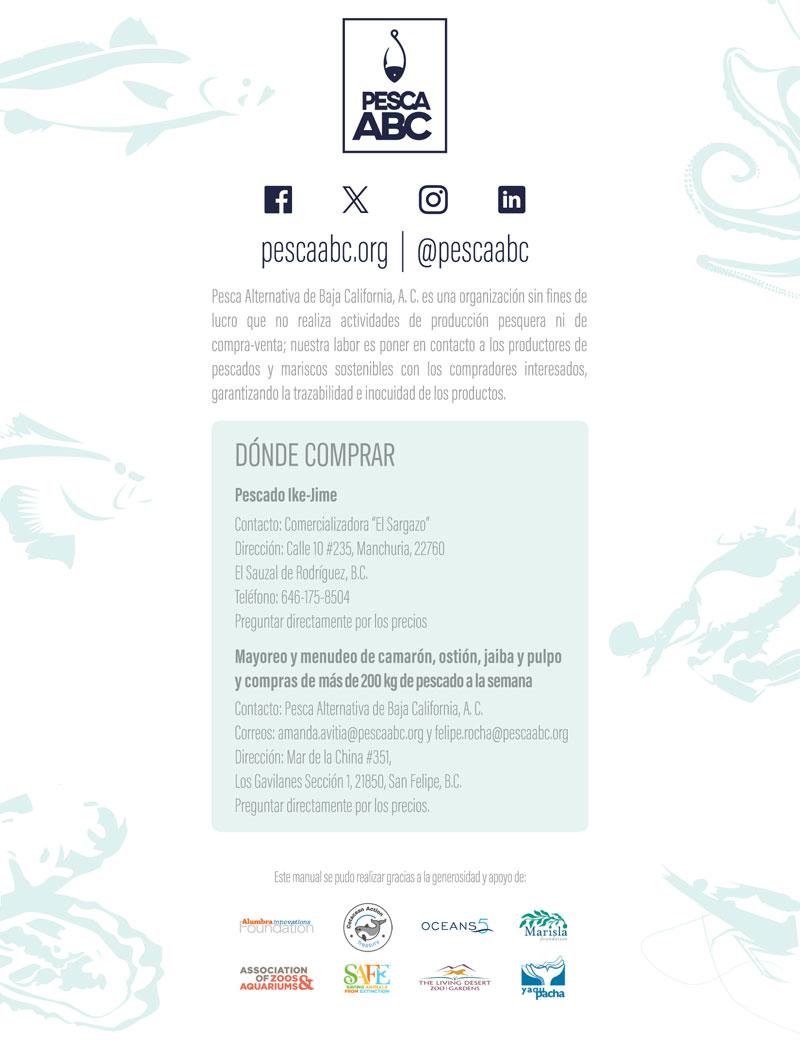 fischführer pesca abc vaquita mexiko golf von kalifornien