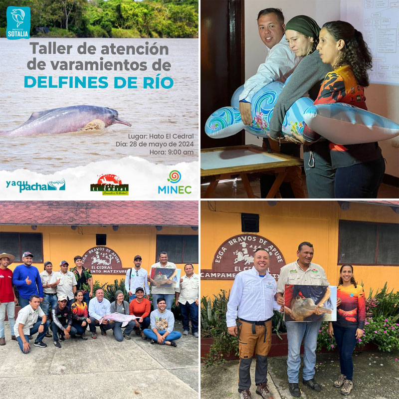 workshop taller inia geoffrensis venezuela proyecto sotalia flussdelfine