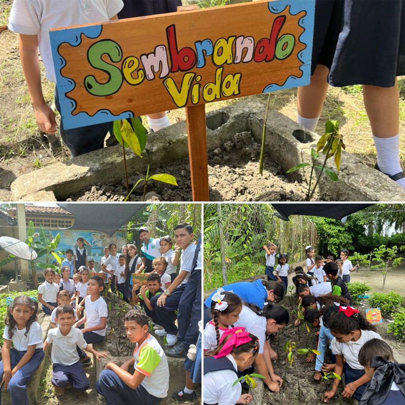 sotalia guianensis delfin venezuela proyecto sotalia delfines kinder schule schulprojekt