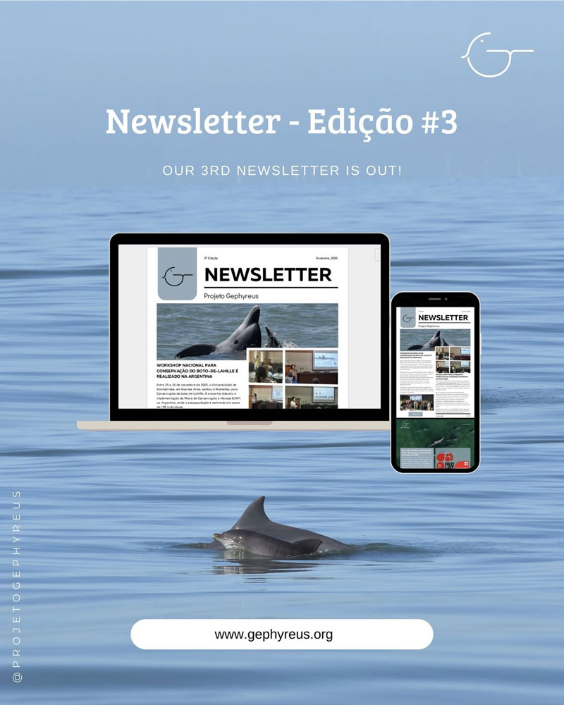 tursiops gephyreus newsletter lahille dolphin delfin