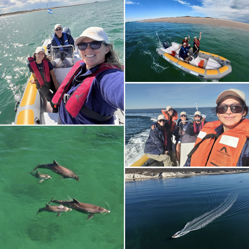 forschungsboot argentinien azara research boat tursiops gephyreus bottlenose dolphin lahille's großer tümmler