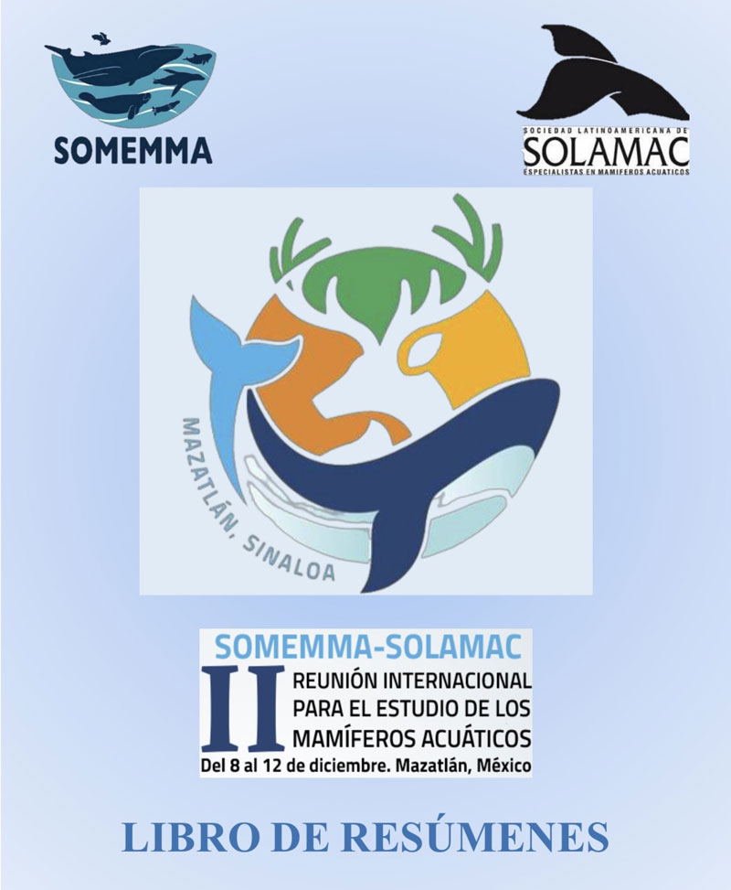 somemma solamac libro resumen buch pdf tagung conference 2025