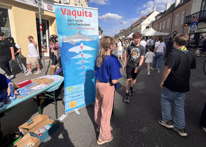 vaquitas vaquitafreunde wien vaquita-schutz
